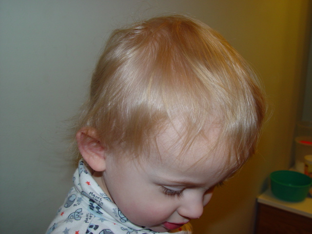 DSC04320