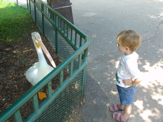 DSC00034