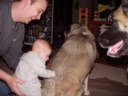 DSC01532.jpg