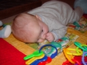 DSC01556.jpg