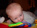 DSC01558.jpg