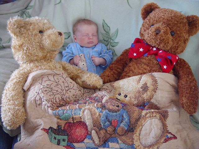more bears